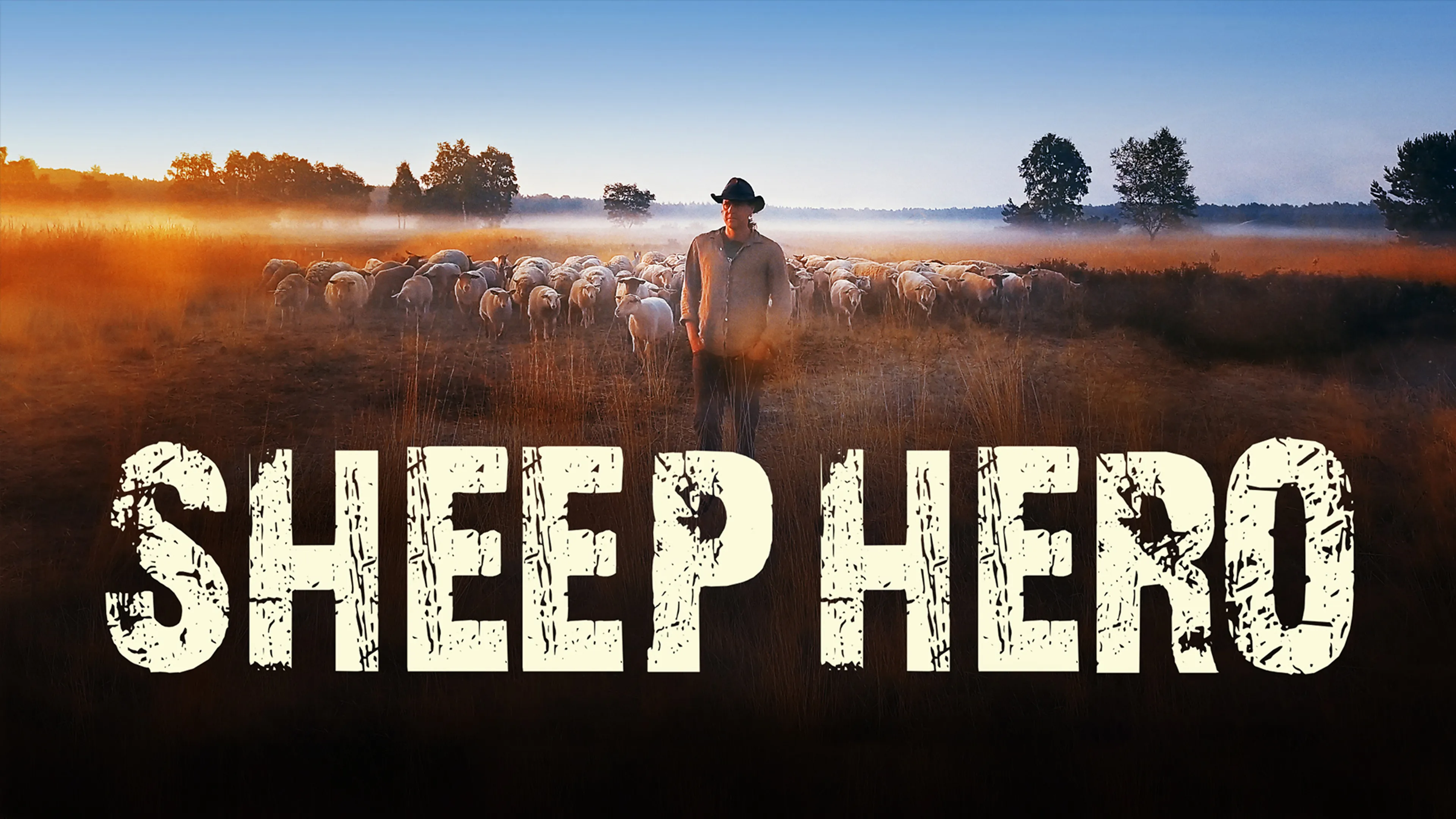 Sheep Hero poster